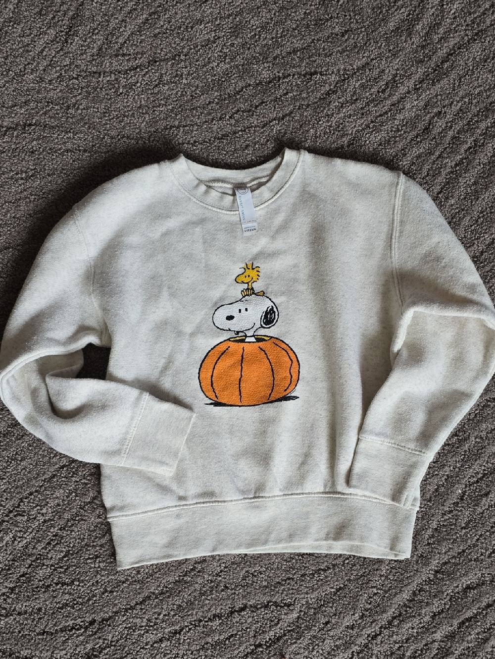Snoopy And Woodstock Graphic - Kids Sweatshirt